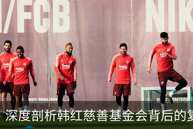 深度剖析韩红慈善基金会背后的复杂局面
